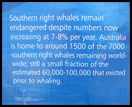 Nullarbor      -Streaky Bay 044