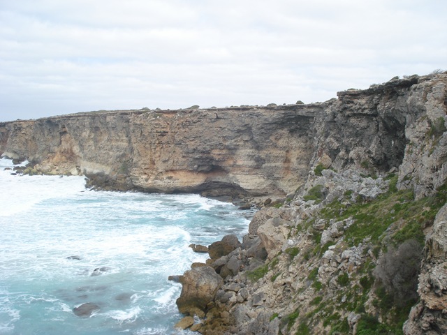 [Nullarbor      -Streaky Bay 035[5].jpg]