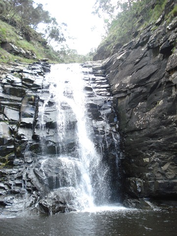 [Great Ocean Road 011[5].jpg]