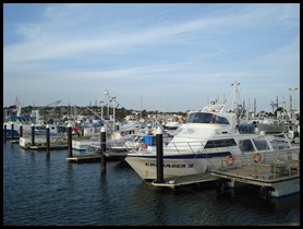 Streaky Bay to Adelaide 066