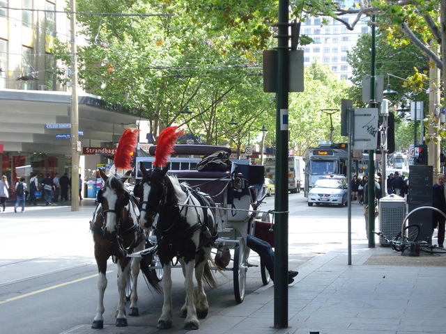 [DandenongRangesCity0274.jpg]