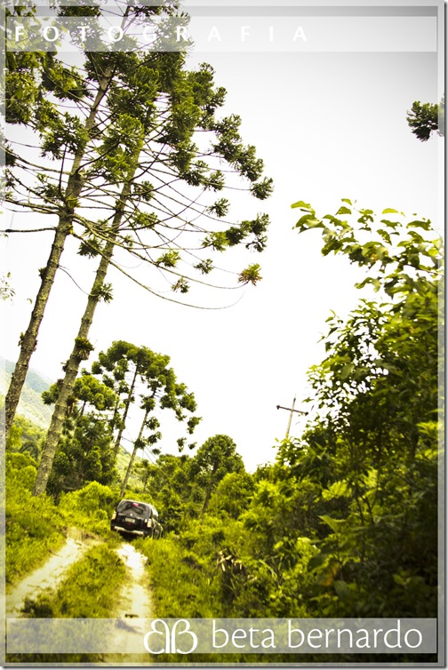 IMG_9999_61-113 copy
