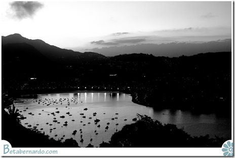IMG_2771-1-2 copy