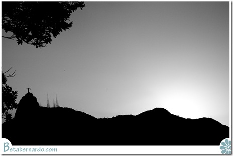 IMG_2711-1 copy