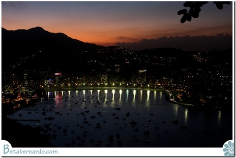 IMG_2800-1 copy