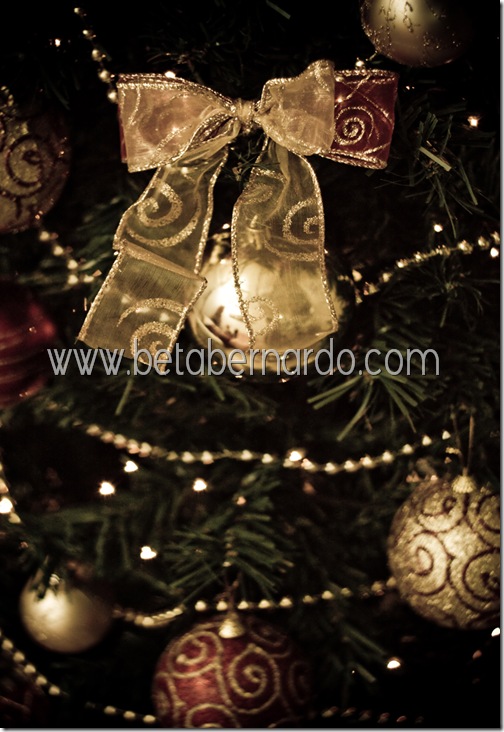 IMG_8677-2 copy