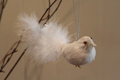 IMG_6326 IMG_6326