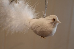 IMG_6328 IMG_6328
