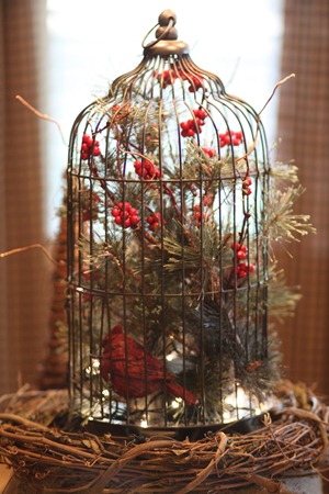 IMG_8153 IMG_8153