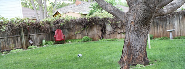 pano2 pano2