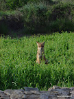 DSC02956.JPG