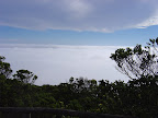 Tour Parque Nacional Fray Jorge y Valle del Encanto