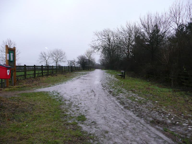 Ice Path