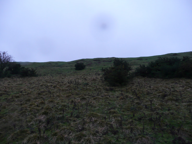 Looking up the left side earthworks.