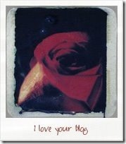 i_love___
