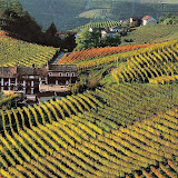 monferrato.jpg