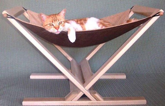 [Apartment Therapy, Semester![4].jpg]