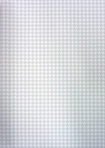 [CaselioHauteCouture115.jpg]