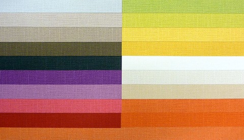 [CaselioHauteCouture125.jpg]