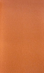 Caselio, Seduction 7