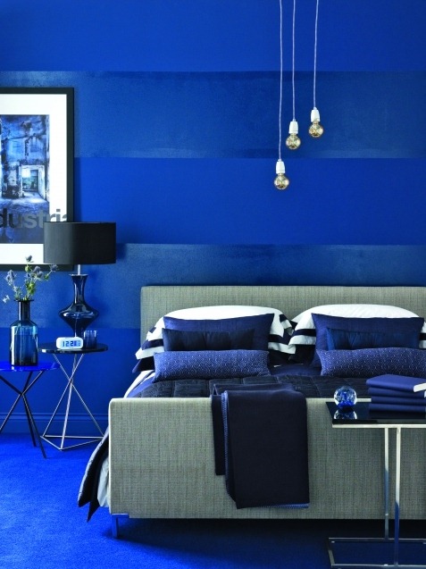 [Bl-interir-Home-Shopping-Spy-24.jpg]