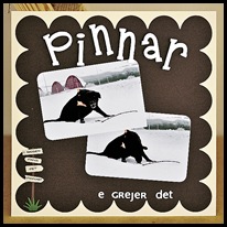 Pinnar_stor