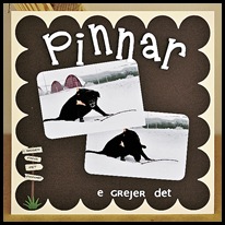Pinnar_stor Pinnar_stor