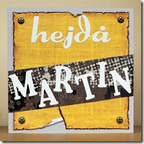 Hejda Martin_framsida_stor Hejda Martin_framsida_stor