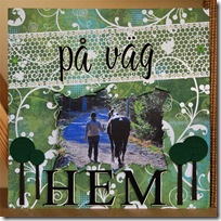 pa vag hem_stor pa vag hem_stor