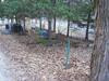 P4050041.JPG