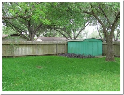 backyard8 backyard8