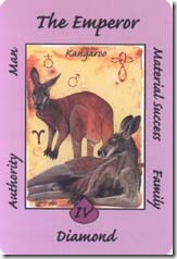 Australian Animal Tarot (4)