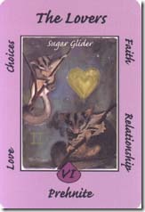 Australian Animal Tarot (6)