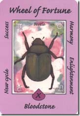 Australian Animal Tarot (10)