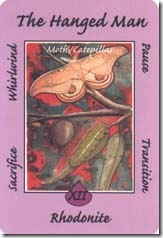 Australian Animal Tarot (12)