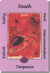 Australian Animal Tarot (13)