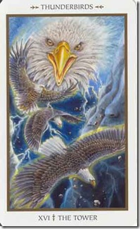 Animals Divine Tarot (16)