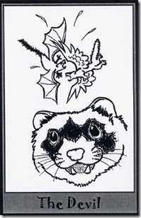 Ferret Tarot (15)