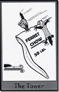 Ferret Tarot (16)