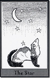 Ferret Tarot (17)