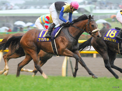 gi史上初の1着同着に オークス 馬キチ