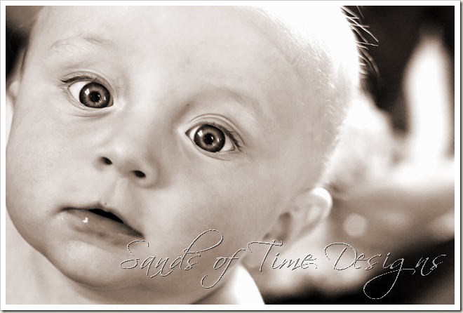 IMG_4737_filtered-copy_sepia_web