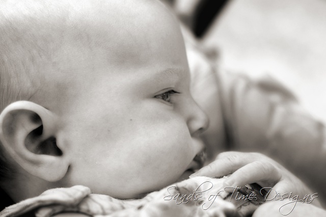 [IMG_8559 copy bw_web[2].jpg]