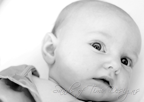 [IMG_7616_fltd-copy_bw_web[2].jpg]