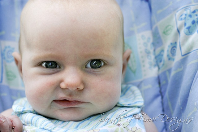 [IMG_8510-copy_web[2].jpg]