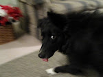 IMG_1466.JPG