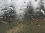 IMG1321.JPG