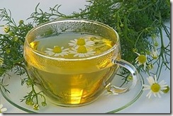 Chamomile Tea 03 Chamomile Tea 03