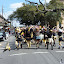 P1010604.JPG