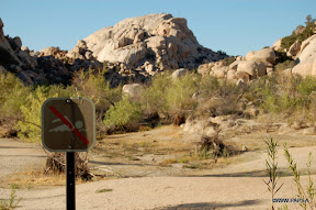 No Swimming - Joshua Tree